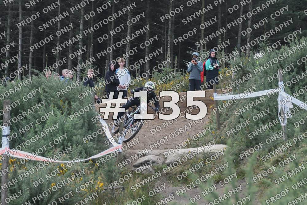 135 (3)