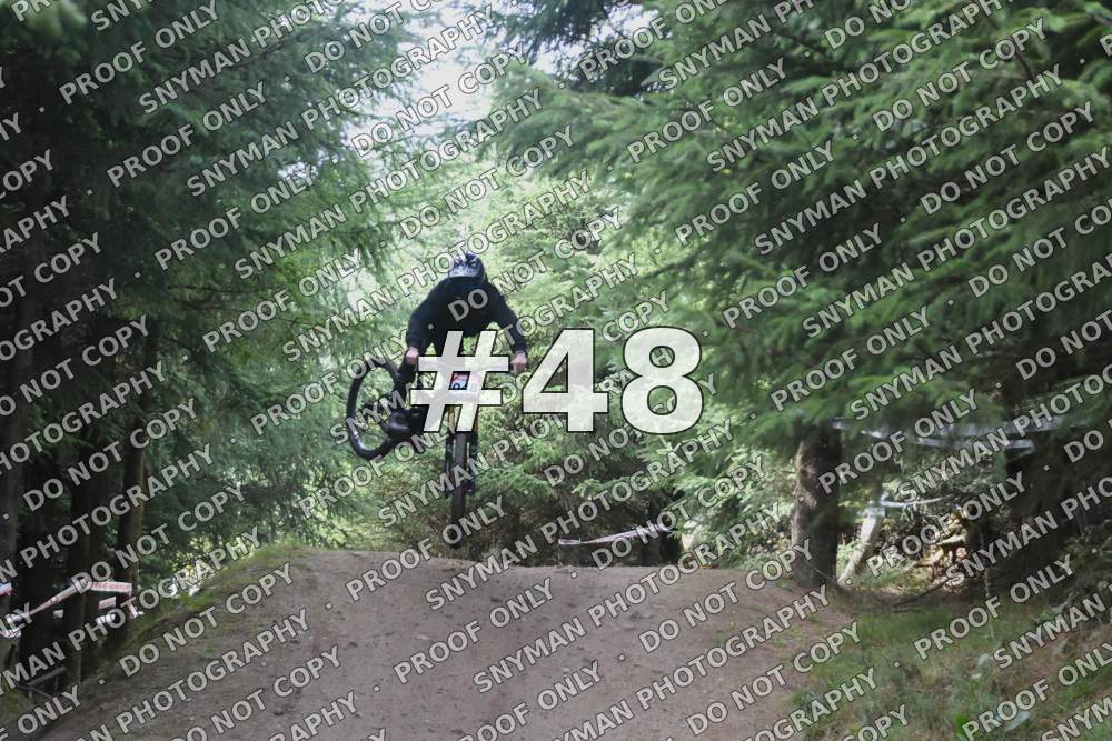 48 (3)