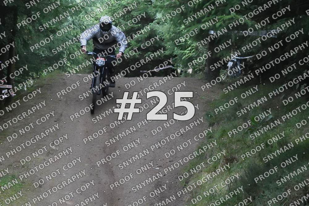 25
