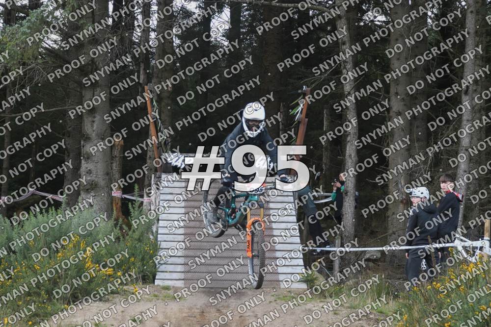 95 (6)