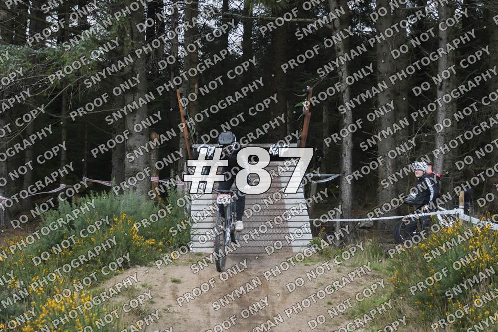 87 (1)