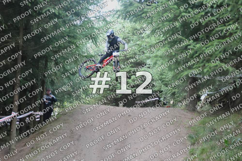 12 (3)