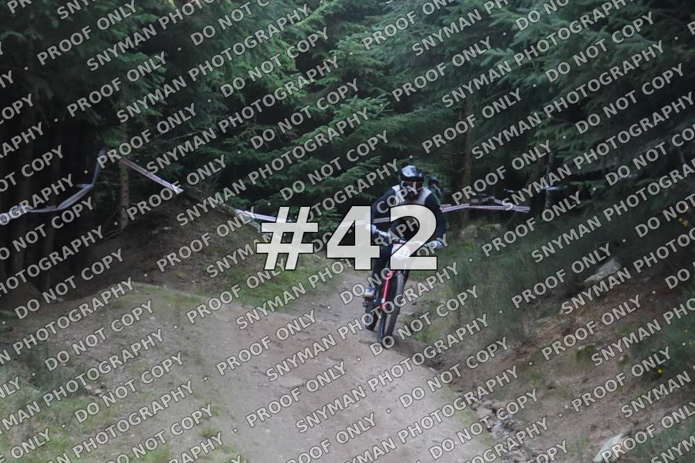 42 (1)