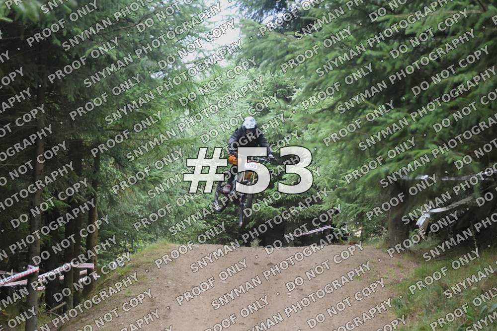 53 (3)